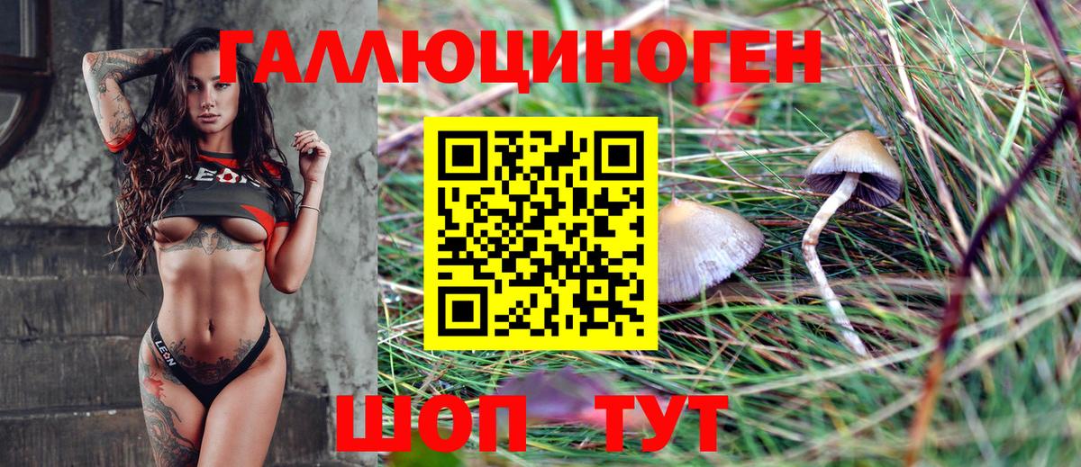 Галлюциногенные грибы мицелий Борзя