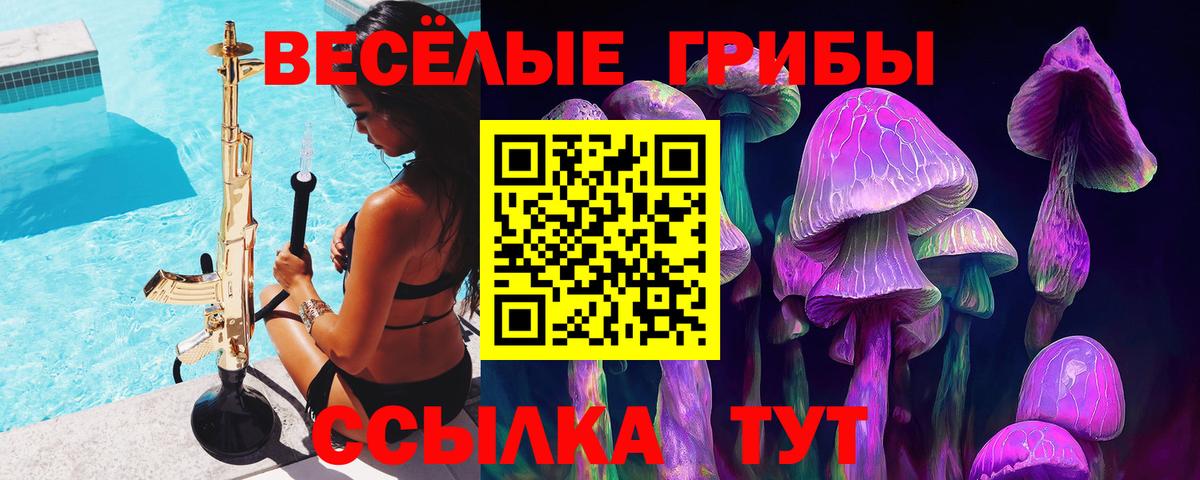 Борзя  Галлюциногенные грибы MAGIC MUSHROOMS  Галлюциногенные грибы ЛСД  Вход с VPN 